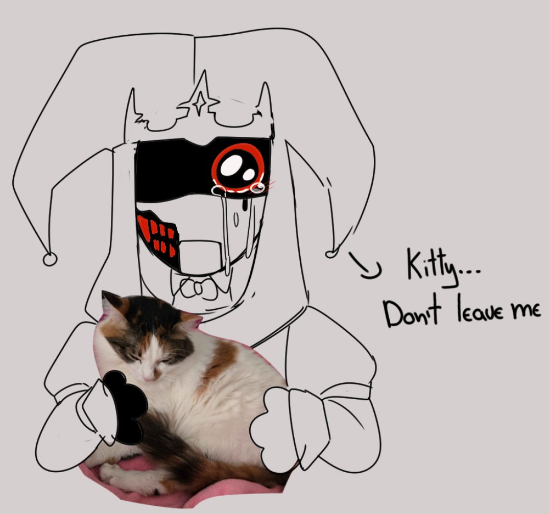 jpgkittyas tweet picture