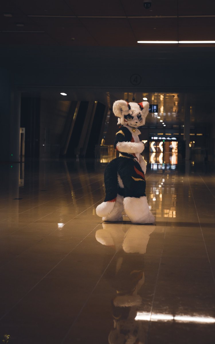 Baimoe's tweet photo. #FursuitFriday
夜猫子
📷@Kitami_2000 https://t.co/tGSOqSLasI