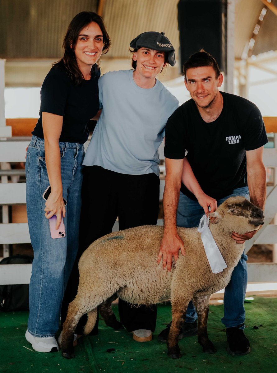 CRAprensa's tweet photo. ¡La carne ovina también es protagonista en #ARGENCARNE 2026! 🐑
Hoy, la genética, la calidad y el potencial de la producción ovina se lucen en Río Cuarto con el Block Test Ovino, que evalúa objetivamente la calidad de las reses, y la Muestra Genética Ovina, donde los cabañeros presentan ejemplares de distintas razas carniceras: Hampshire Down, Texel, Dorper, Charollais, Poll Dorset, Suffolk y Corriedale.

La jornada se completa con una mesa de trabajo sobre la cadena de producción ovina, para intercambiar experiencias y analizar los desafíos y oportunidades de la actividad.