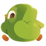 Photo by Duolingo (@duolingo)