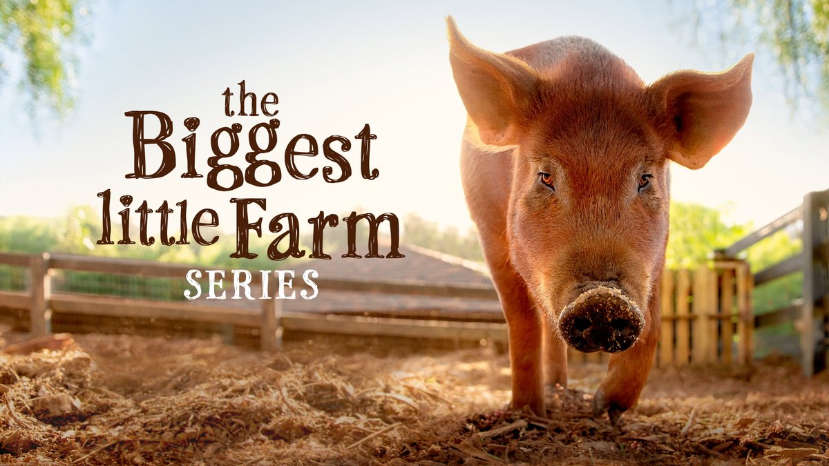 firstshowing's tweet photo. Fun Trailer for 'The Biggest Little Farm' Series About Farms & Animals https://t.co/TMpQsjAaf9
#docs #TheBiggestLittleFarm #farming #ecosystem #ApricotLaneFarms https://t.co/QTqEb1hq0J