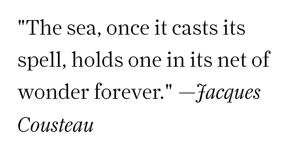 seainpoem's tweet photo. https://t.co/sXqexpRKKf