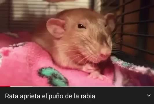 Piki4586's tweet photo. Yo tras leerme a mí mismo en esa repuesta de mi examen de economía. https://t.co/6KBc8pF1vb
