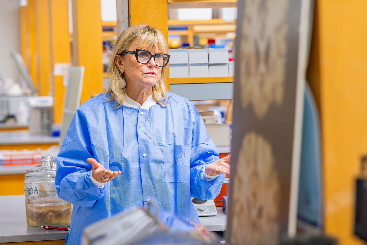 ScienceinBoston's tweet photo. The @NIAgeing has approved a nearly $24 million grant to fund @BU_Tweets' Alzheimer’s Disease Research Center for the next five years. 

“The center is really the nucleus for all Alzheimer’s and neurodegenerative disease research across BU,” says Director Dr. Ann McKee: https://t.co/scn5ZXWy8J
