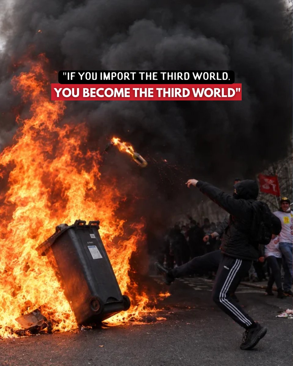TrueTXProject's tweet photo. Import the third world, become the third world. https://t.co/ZyESVBYaL1