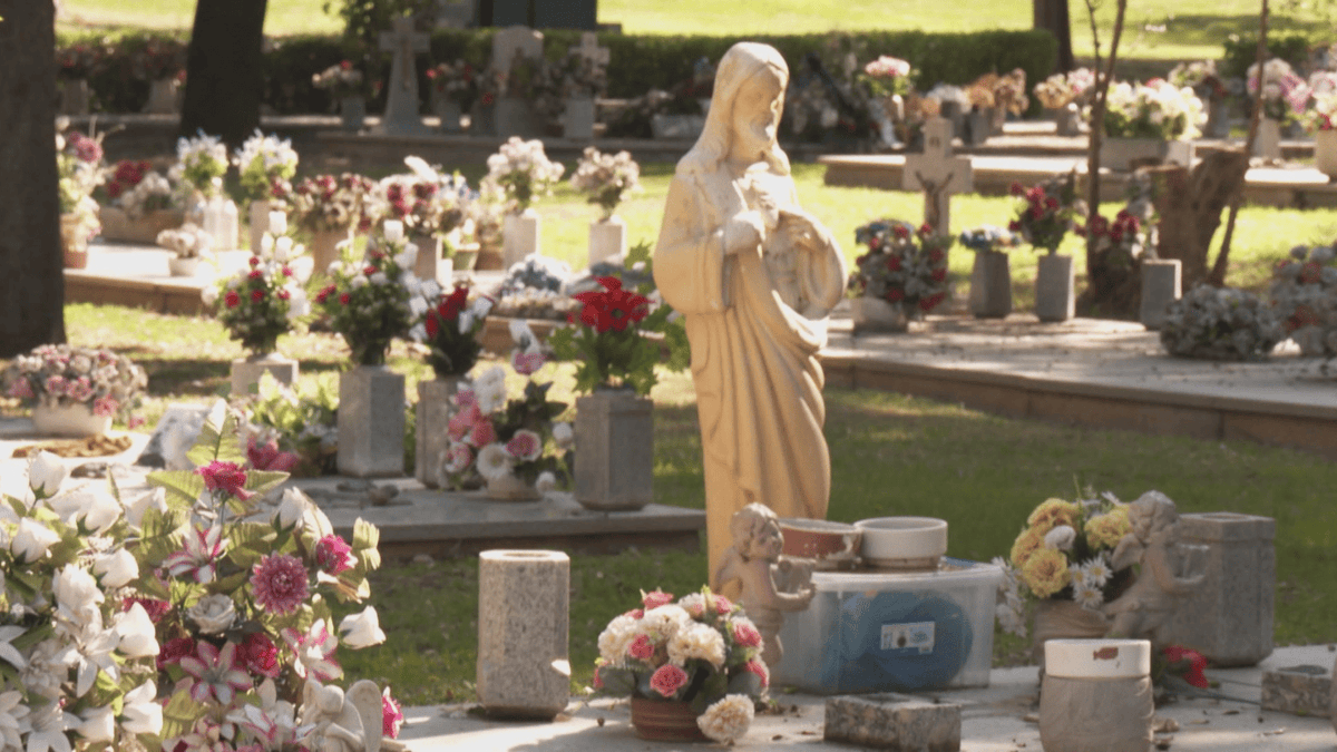MadridDirecto's tweet photo. 🪦El Cementerio Jardín de📍#Alcalá se prepara para el Día de Todos los Santos. Reconocido como el tercer mejor de España, sus trabajadores cuidan cada detalle para honrar la memoria de los seres queridos👇#MD2625 @AinaraOtamendi @telemadrid
https://t.co/GDQZCGB35N https://t.co/8WVNBj5llP