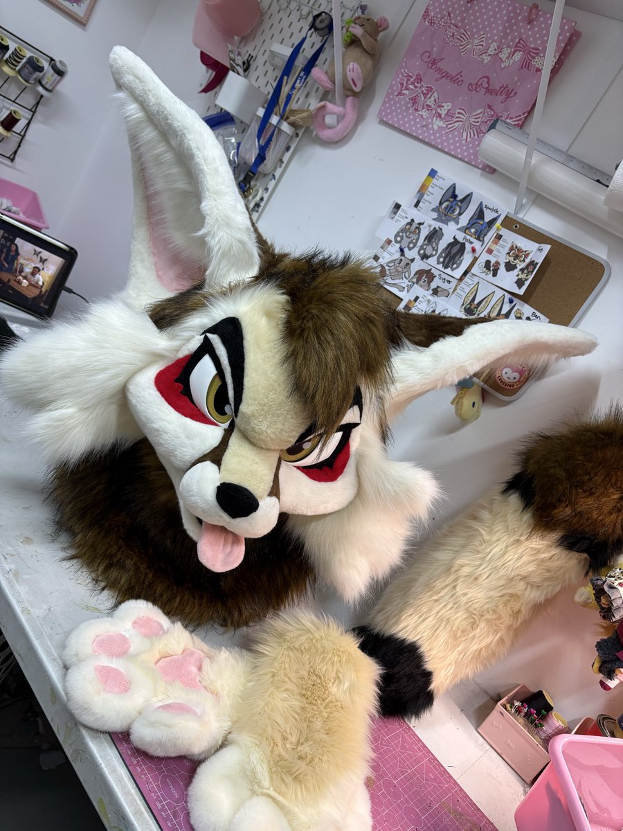 furry_crossing's tweet photo. Angery desert  fox 🌵 
❗️Emergency price 🏷️2,8OO  

- Magnetic ears
- Velcro tongue
- Resin 3D printed eyes and fangs
- Paws and tail

✅ Fits any size and will be adjusted for the final owner 

Shares are extremely appreciated 💖
For more info please send us a DM💫 https://t.co/mvvvltLgGf