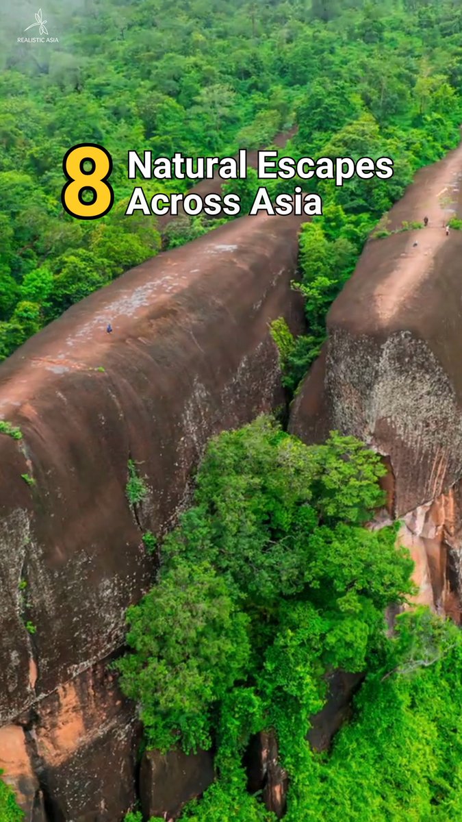 themessaround's tweet photo. Beyond Asia’s cities and landmarks, national parks reveal a different side of the region: mountains, ancient forests, tropical islands, wildlife, and remote landscapes. Which natural escape would you add to your next journey? https://t.co/8sLMPXDikS