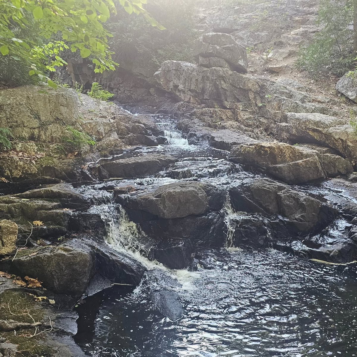 AryadnaTran2011's tweet photo. Getting a little exercise and exploring. Made my way down a rocky hill to find this little gem. https://t.co/bV8Fi2ABKy