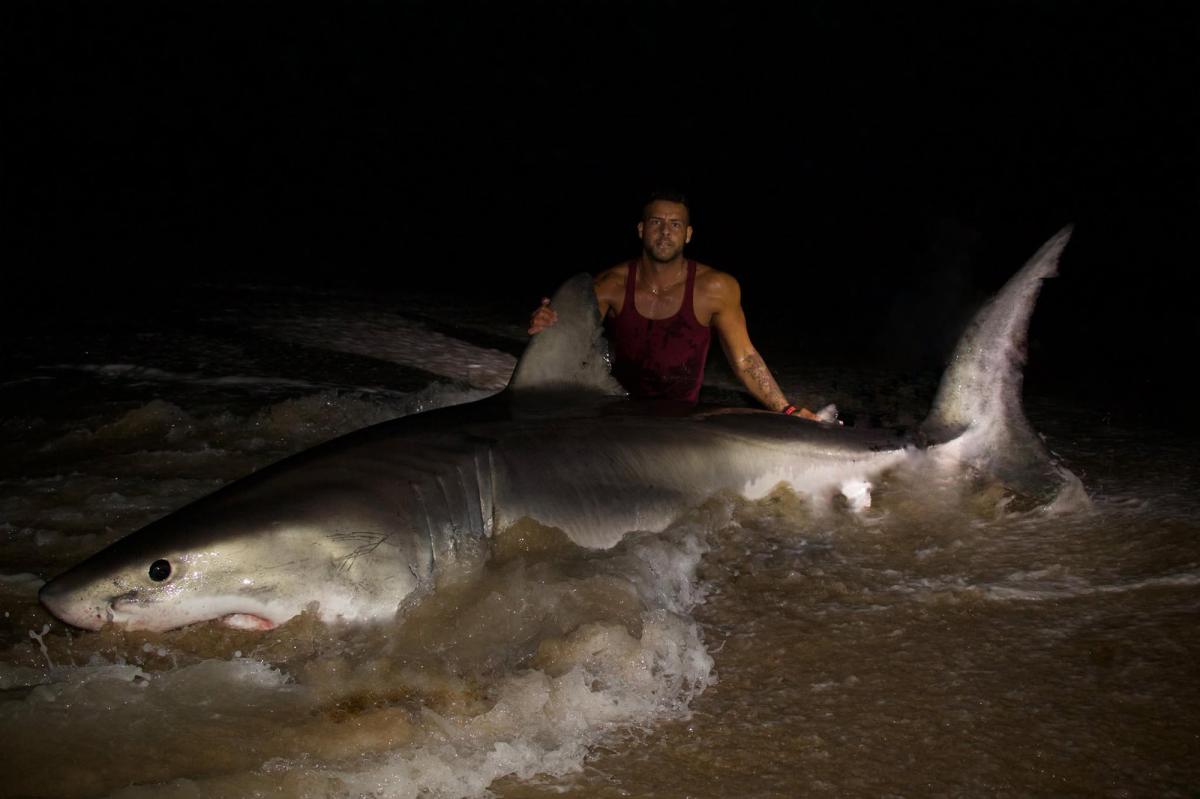 nypost's tweet photo. Judge orders fishing influencer to erase social media pics after he illegally nets great white https://t.co/l8a4NAxtWO https://t.co/L7un0obm8m