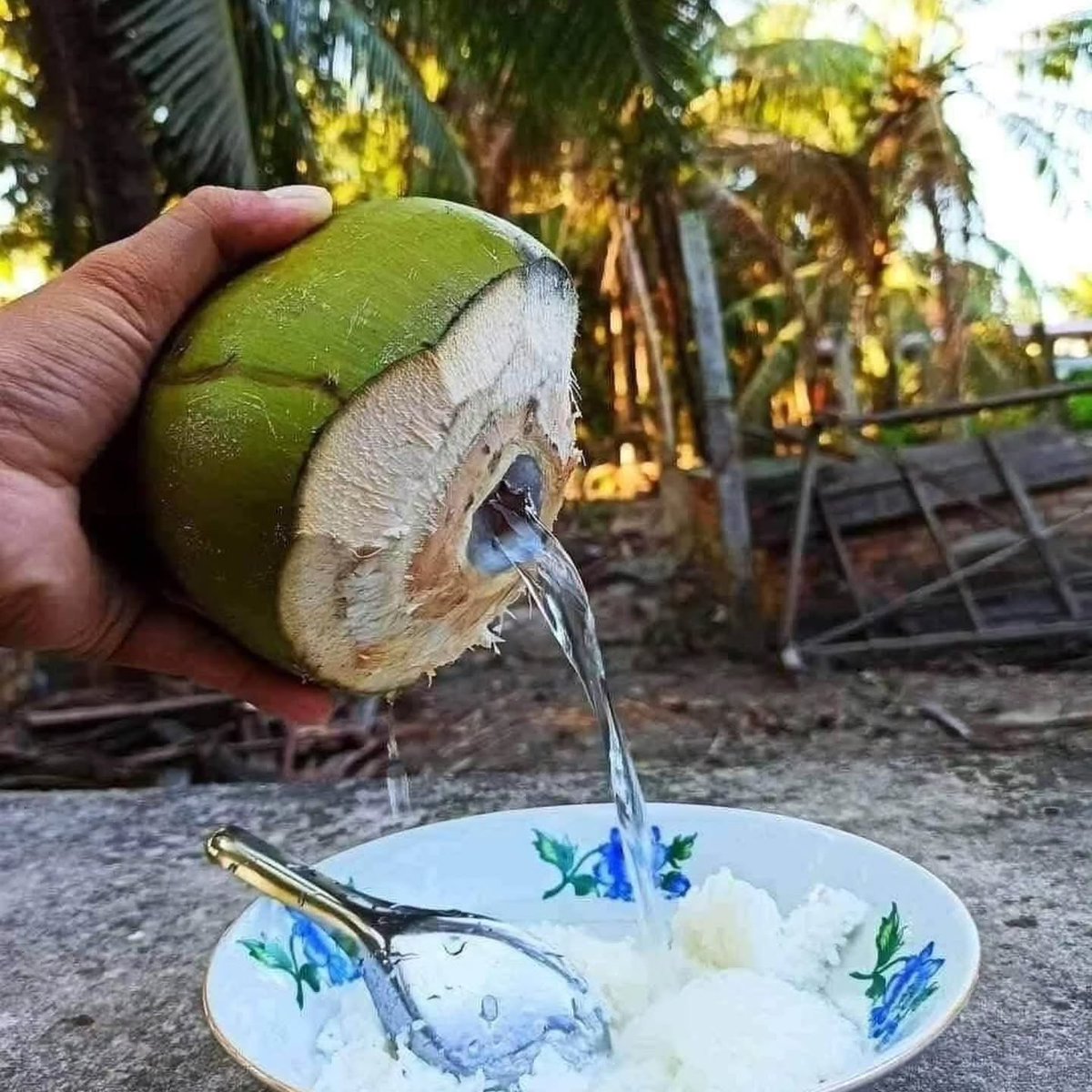 ant0nelliitah's tweet photo. In the Mekong Delta, rice with fruit is a simple, familiar meal. Watermelon, bananas, or mangoes make rice easier to eat, cool the body, and fuel farmers through busy days without time for elaborate cooking. https://t.co/cYbKKvCzY9