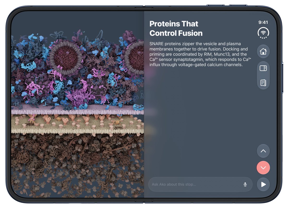 timd_ca's tweet photo. CellWalk, helps you learn biology. 

Very much optimized for the iPhone Duo. Every pose. We've also optimized it for A20 Pro. Billions of atoms realtime, it's like Apple Maps for biology, zoom from cell to atom. 

Apple Design Awards Finalist 2025

https://t.co/UtZ5ZkYuKz
https://t.co/tcGDGTblo4