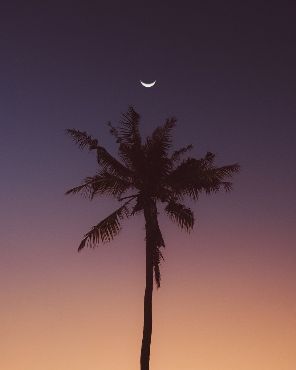 mido_ben's tweet photo. Love in all its dark, captivating beauty. https://t.co/znMF1GufZL