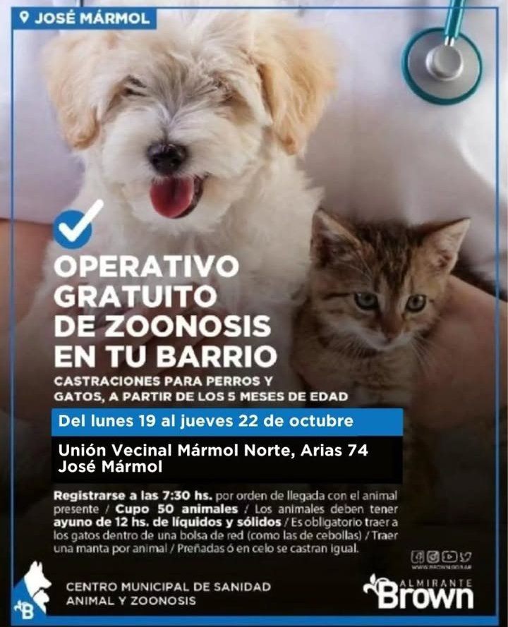 TrenClaypole's tweet photo. 🐕Operativo de Zoonosis Brown
en José Mármol 🐈 del 19 al 22/10.

🍀"Unión Vecinal Mármol Norte".
⚓ Arias 74.

📌Con ayuno de 12hs
📌A partir de 6meses de edad
📌Cupo 50 turnos.
🐱Gatos en bolsa de red.
🐶Perros con correa.
💡Traer una manta.

🚄 Tren Roca #TrenRoca #BrownConVos https://t.co/wiTQCdhhQT