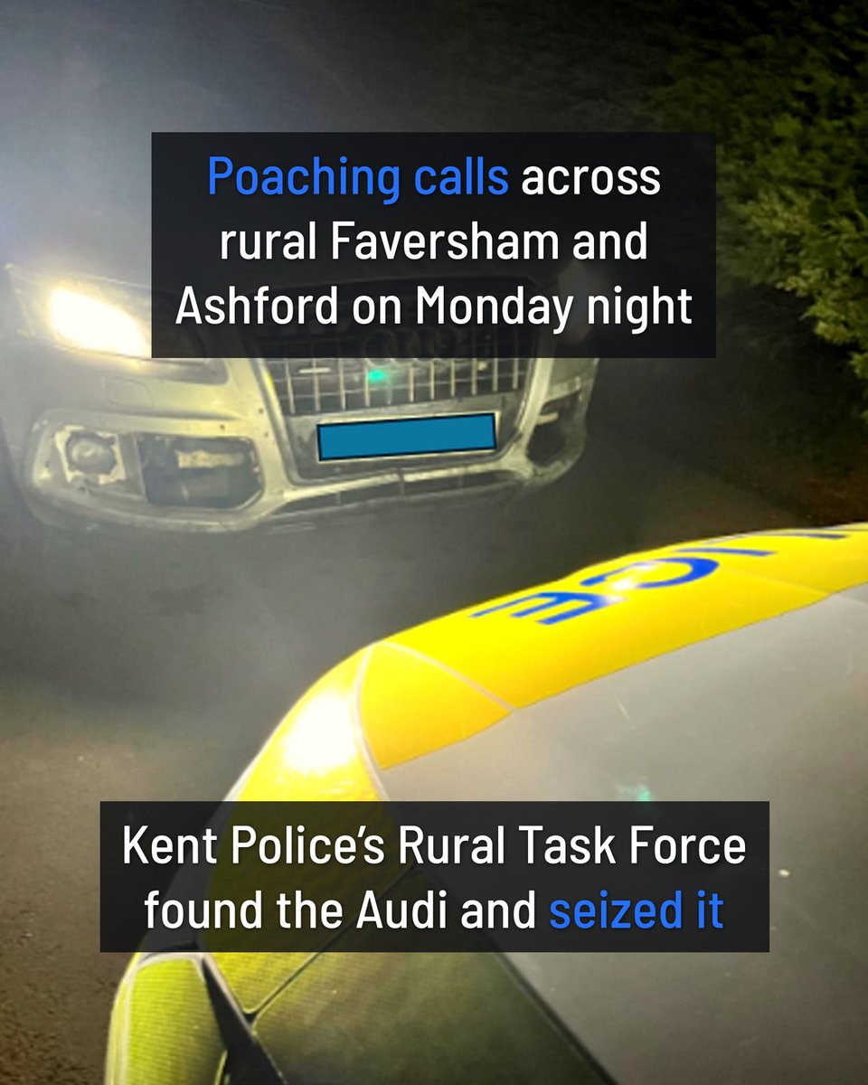 UKCopHumour's tweet photo. 𝗢𝗻𝗲 𝗦𝗵𝗼𝗲 𝗦𝗵𝗼𝗿𝘁 𝗼𝗳 𝗮 𝗚𝗲𝘁𝗮𝘄𝗮𝘆

Audi, lamp and dog seized after poaching calls near Faversham. Whoever ran off left one blue shoe behind.

Even Cinderella only lost a slipper. This one lost the lot! 🤦🏻‍♂️

[Credit: @KentPoliceRural]
#RuralCrime https://t.co/yRWy5tukYe