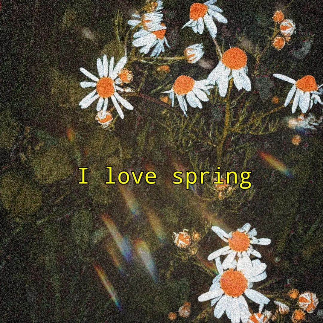 CarlySnacks's tweet photo. Amo la primavera. https://t.co/8TUxQXISKT