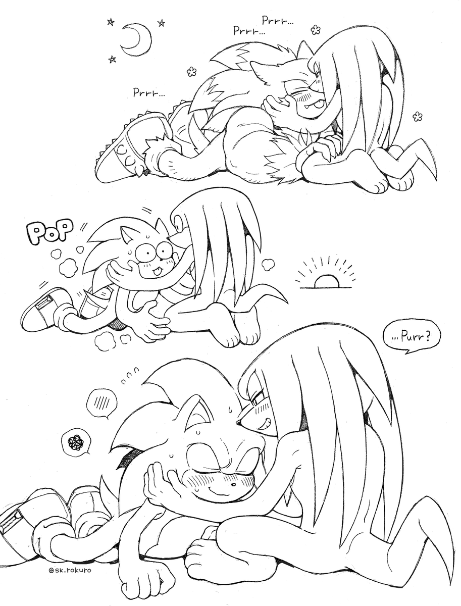 sk_rokuro's tweet photo. 🌅 #sonknux https://t.co/WHmM3UB4CY