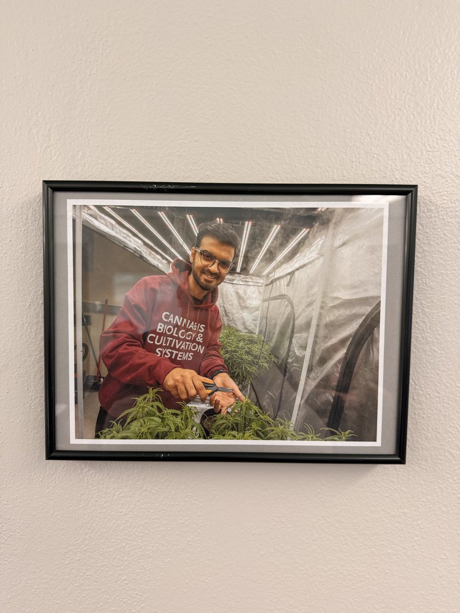 JoseLemePhD's tweet photo. 🖼️ When your student gets featured by the Office of the Vice Chancellor for Research…
#plantbiology #horticulture #gradstudent https://t.co/ceqSeAZc37
