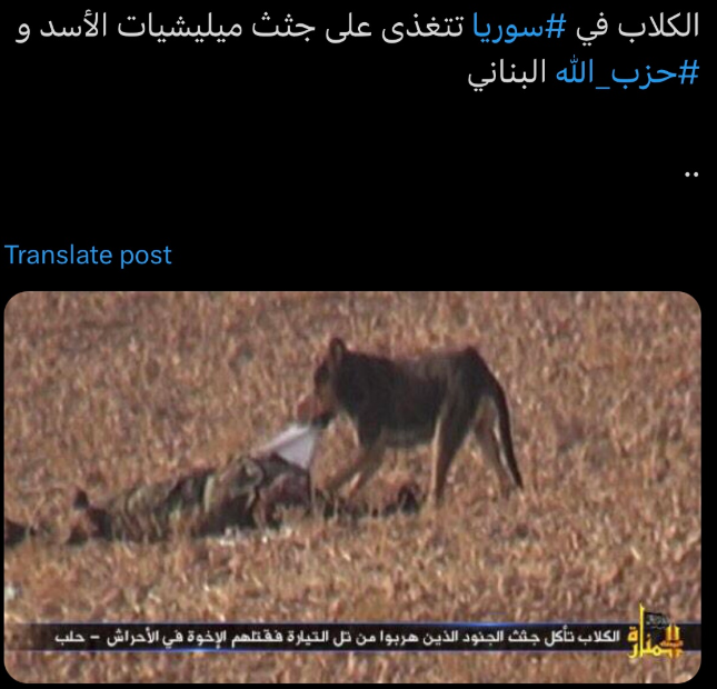 Mohammedfpal's tweet photo. @Picasyr حتى الكلاب كان لها نصيب منهم https://t.co/s1O0vPURAd