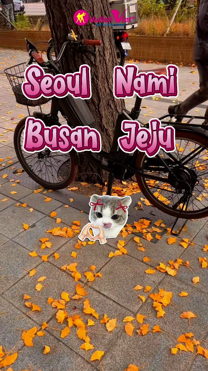 miss_laugherbox's tweet photo. Tour Hàn Quốc mùa thu 2026: Hà Nội – Seoul – Nami – Everland 5N4Đ, bay thẳng Vietnam Airlines. Khám phá Nami lá đỏ, hái táo, Namsangol, Starfield Library, Gyeongbokgung. Trọn gói từ 20, 9 triệu đồng. https://t.co/3MhLLlDcZf