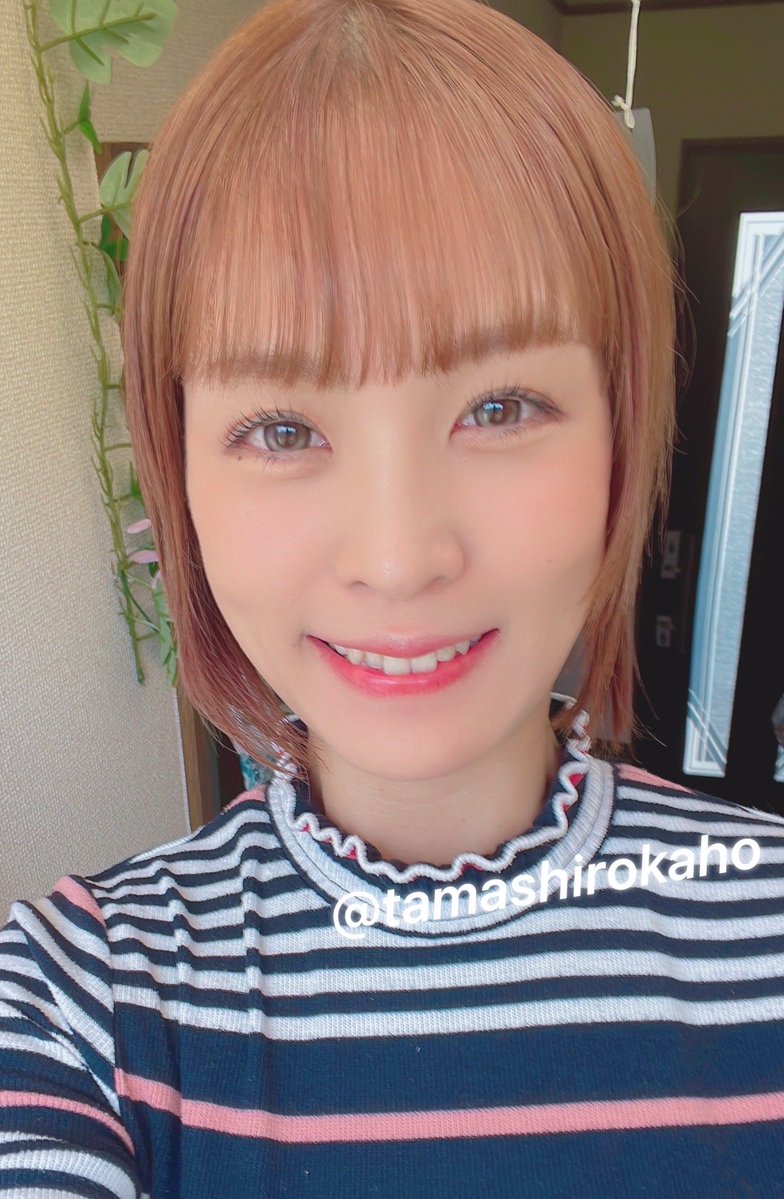 tamashirokaho's tweet photo. おはようございます☀️💗

今日は撮影です🎥✨
何度経験しても、緊張〜🫨
ドキドキするけれど、楽しむ気持ちも忘れずに
頑張ってきます💪💕

どんな1日になるかな〜？🤭
それでは今日も1日
#無理なく
#程よく
#いってらっしゃい💓
#リアル人妻AV女優
#玉城夏帆
#チバリヨー https://t.co/d2G76m4Zes