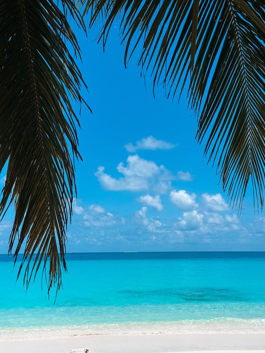 Close_only's tweet photo. Welcome to the Maldives. Dhigurah Island is a tiny local gem with one of the country’s longest natural sandbanks, kilometers of powder-white sand, and crystal-clear water that looks unreal. https://t.co/KI4MT0eG3E