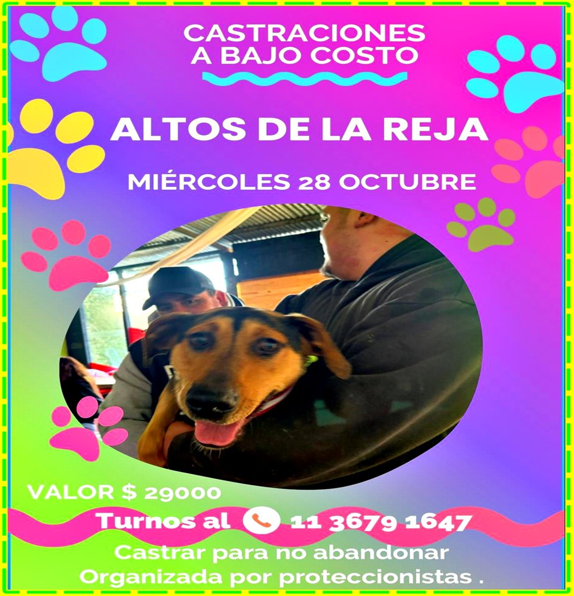 masxmasPA63's tweet photo. MORENO: Campañas castración BAJO COSTO. Pedí turno: nombre y apellido; Perro/a? Gato/a? Mayor de 5 meses.SOLO mensaje escrito por WHATSAPP. NO ACEPTA LLAMADOS NI AUDIOS. Responde TODOS los MENSAJES. ACLARÁ QUÉ CAMPAÑA ELEGÍS.  #castrarsalvavidas #difundirporfavor https://t.co/ciECXfmlqa