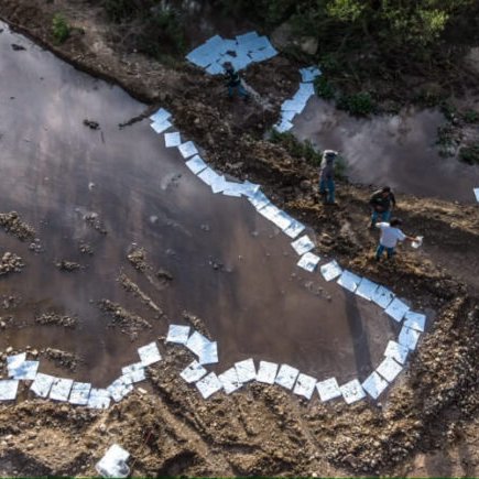 YoAmoaLaCiencia's tweet photo. 🍃 Monitoreo ambiental | Baja California: 9 mil litros de diésel contaminan un arroyo de Rosarito. ¿Qué harán los animales que dependen de esa agua?

Una pipa volcó el 19 de octubre en las inmediaciones del Corredor 2000, en Playas de Rosarito, Baja California, y derramó aproximadamente 9 mil litros de diésel.

Que contaminaron dos kilómetros del arroyo Cañón Rosarito.

Las autoridades instalaron barreras para evitar que el combustible llegara hasta la playa y recomendaron a los habitantes de las rancherías cercanas que no utilizaran el agua para riego ni permitieran que sus animales la bebieran.

¿Pero qué van a hacer los animales que dependen de esa agua?

La secretaria estatal de Protección al Medio Ambiente, Marisol Montaño, advirtió afectaciones a la fauna y el ganado. 

Sin embargo, no se ha informado qué alternativas de abastecimiento tendrán los ranchos afectados ni qué medidas se tomarán para proteger a los animales silvestres que llegan a beber al arroyo.

El gobierno de Marina del Pilar ya dijo que los animales no deben beber esa agua. 

¿Entonces qué solución está ofreciendo? ¿Van a proporcionar agua ? ¿Van a revisar si hay fauna silvestre afectada?