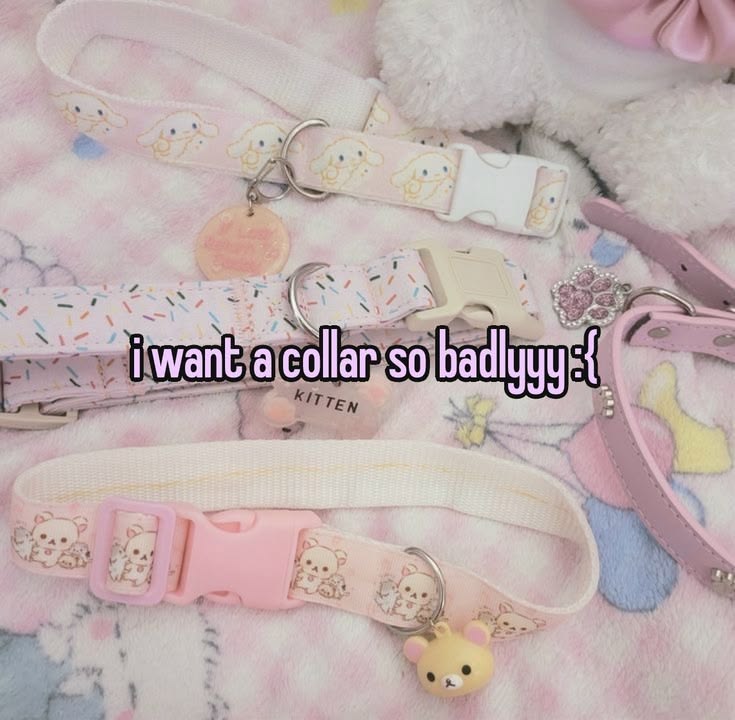 needypupim's tweet photo. please mama I need collar so bad :3 
puppy back btw woof woof :33 https://t.co/btmj5YRUgp