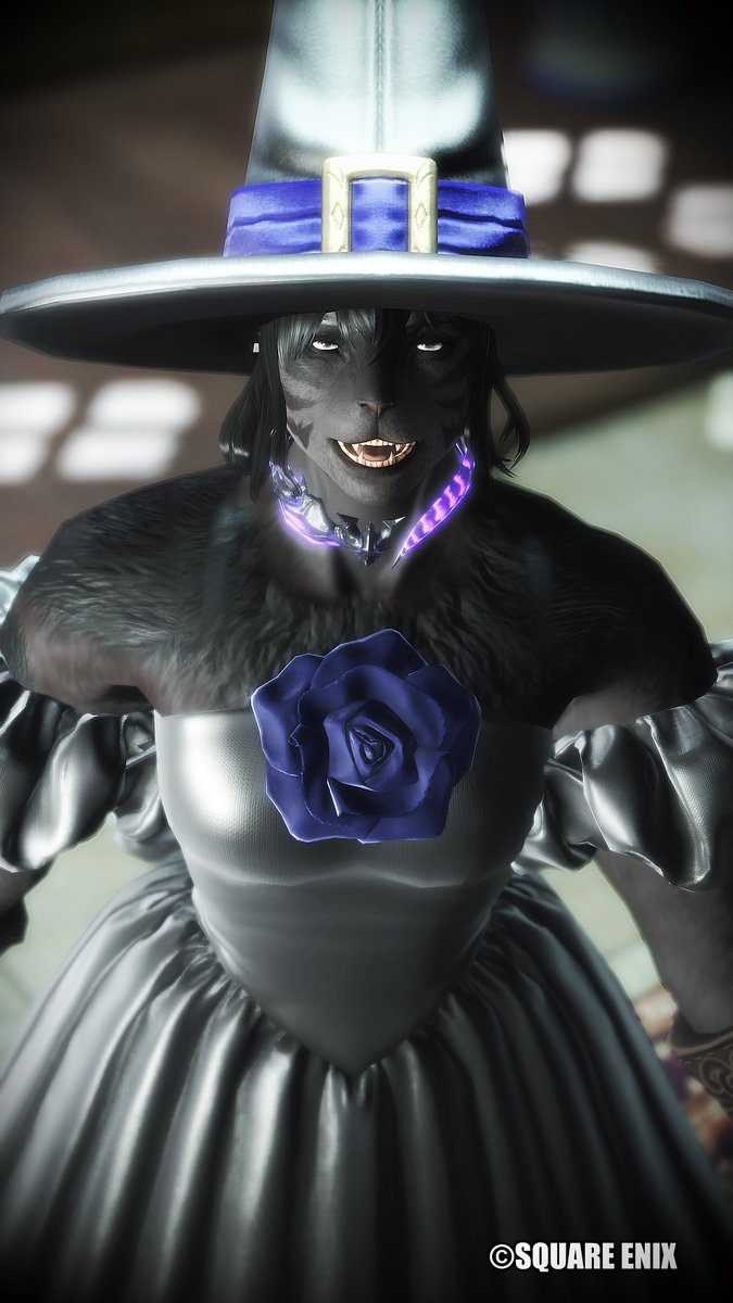 syurat0517's tweet photo. おはガル！
#FF14 #おはガル #メスガル https://t.co/3ZpDjSSpn6