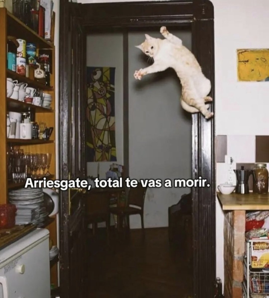 Animalesaprieto's tweet photo. https://t.co/qNwXa6TSk9