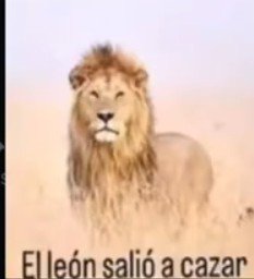 Axelelpancho1's tweet photo. @zikadapika No pensé usar está imagen otra vez... https://t.co/r4Ha6LTWjP