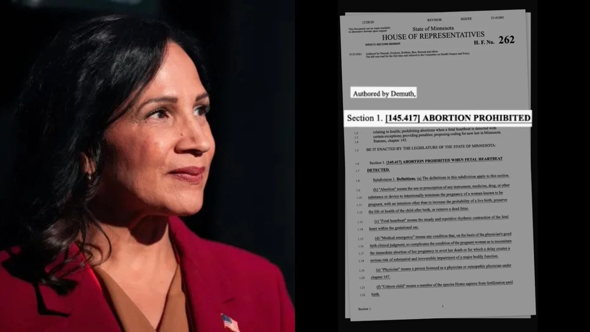 proj_true_north's tweet photo. Lisa Demuth on abortion:

➡️ Was the chief author of an extreme abortion ban with no exceptions for victims of rape and incest.
➡️ Called for doctors to be jailed for providing care in her abortion ban.
➡️ Wants to overturn Doe v. Gomez, which protects the right to abortion in Minnesota.