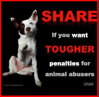 Roger758's tweet photo. https://t.co/t5NWsQldVM