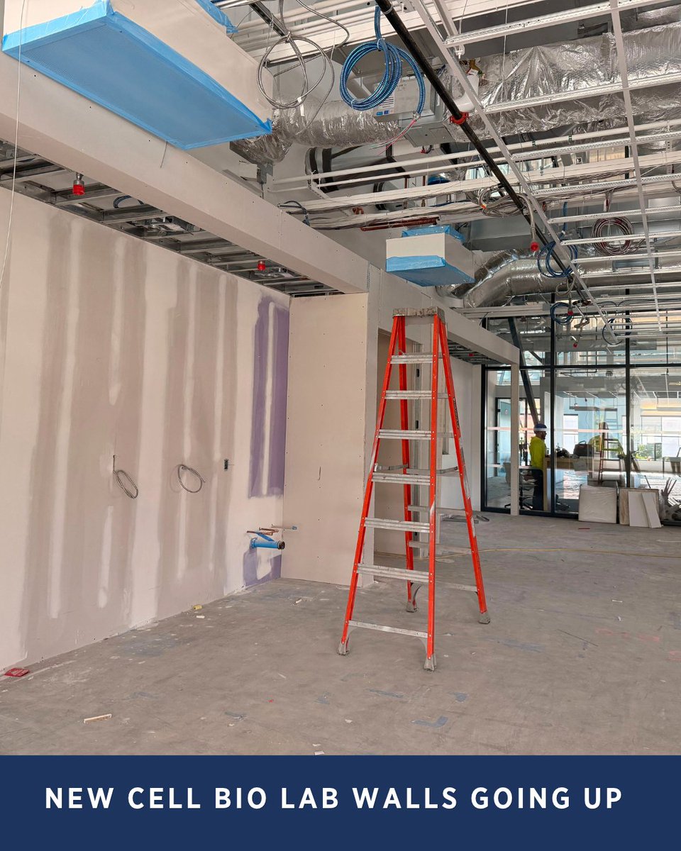 ALSTDI's tweet photo. Notice anything different since our last update? 

Construction is moving forward on ALS TDI’s new 33,000 sq ft research facility. Hear Dr. Fernando Vieira explain what our expansion means for ALS research: https://t.co/GrbVyXKTl9 https://t.co/gEx7yP5BHn