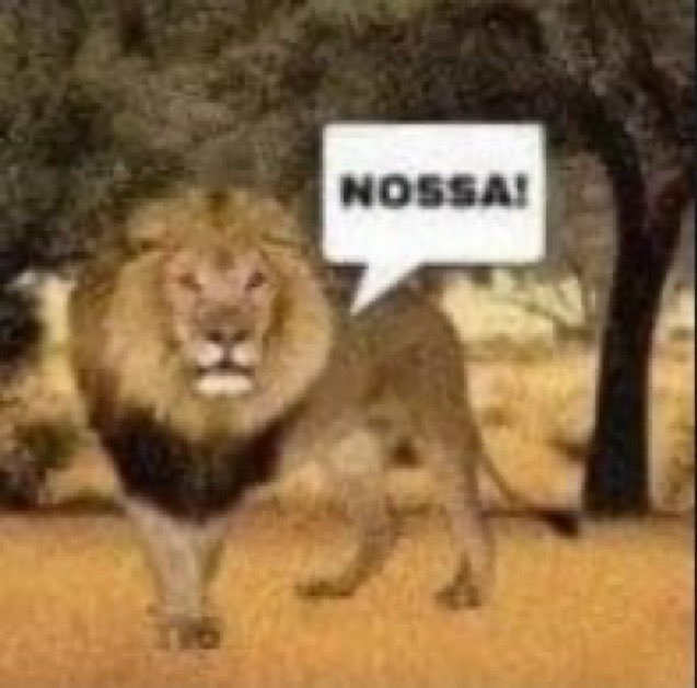 PedroTumor's tweet photo. @Guy_045 @Lc4224 @cavaleiroermo Tá mais fácil dela me atropelar por eu ser homem https://t.co/GKdrIQXxuj