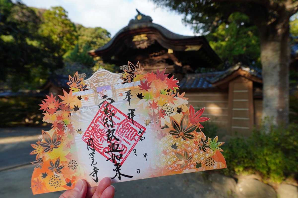 EngakujiK's tweet photo. 10/24(土)より「円覚寺 秋の限定御朱印」の授与を開始いたします。

御朱印は1種類で、1枚と2枚目の写真は表面の左右を見開いた状態、3枚目は開いた状態の裏面になります。4枚目は左右を閉じた状態になります。　 ↓に続きます

#円覚寺　#北鎌倉　#鎌倉　#限定御朱印　#御朱印 https://t.co/v8aklupfDI