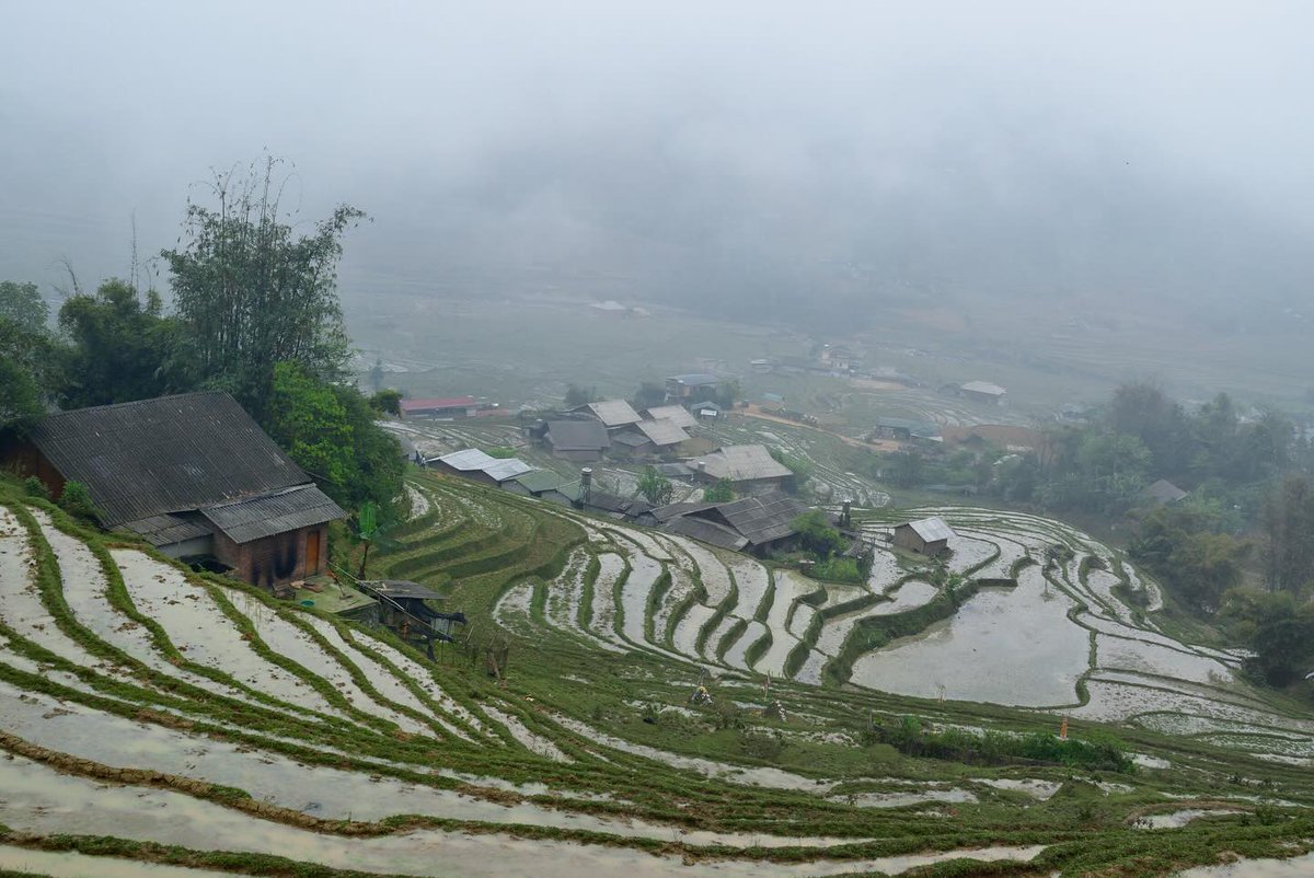 BryanprDuffyLVj's tweet photo. Sapa on its foggiest day. https://t.co/Ug3DXPFAIJ