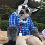Photo by NEKO DAFOX 🔜 MFF (@NDafox)