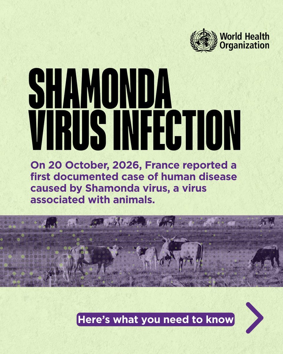 airnewsalerts's tweet photo. World Health Organisation (WHO) has reported the first documented human infection with the Shamonda virus in France after an immuno compromised patient died following the infection.

WHO Director-General Tedros Adhanom Ghebreyesus said the virus was previously detected only in animals, including cattle, sheep, goats, and horses. The virus is believed to spread among animals through the bites of midges, small fly-like insects.

#ShamondaVirus #WHO #France
