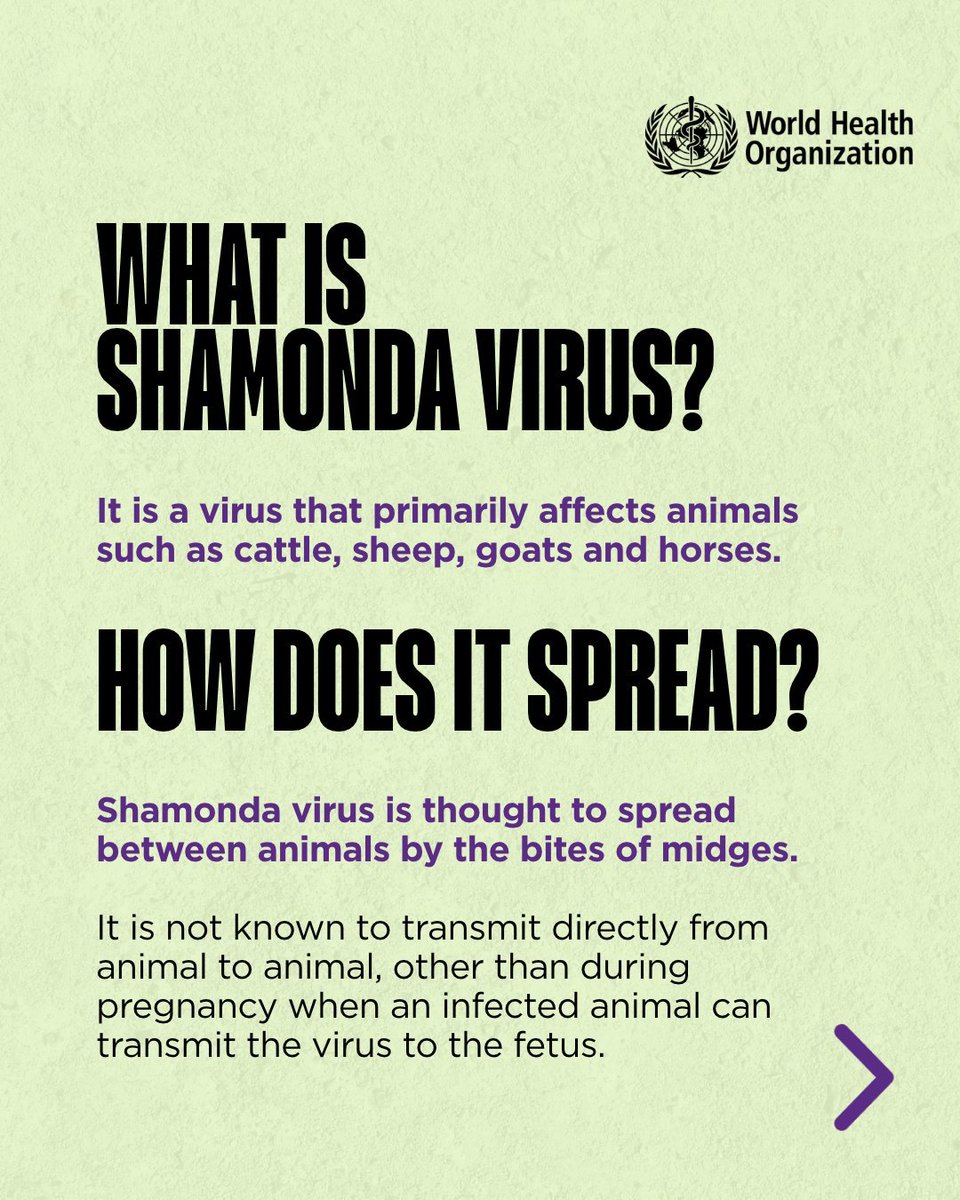airnewsalerts's tweet photo. World Health Organisation (WHO) has reported the first documented human infection with the Shamonda virus in France after an immuno compromised patient died following the infection.

WHO Director-General Tedros Adhanom Ghebreyesus said the virus was previously detected only in animals, including cattle, sheep, goats, and horses. The virus is believed to spread among animals through the bites of midges, small fly-like insects.

#ShamondaVirus #WHO #France