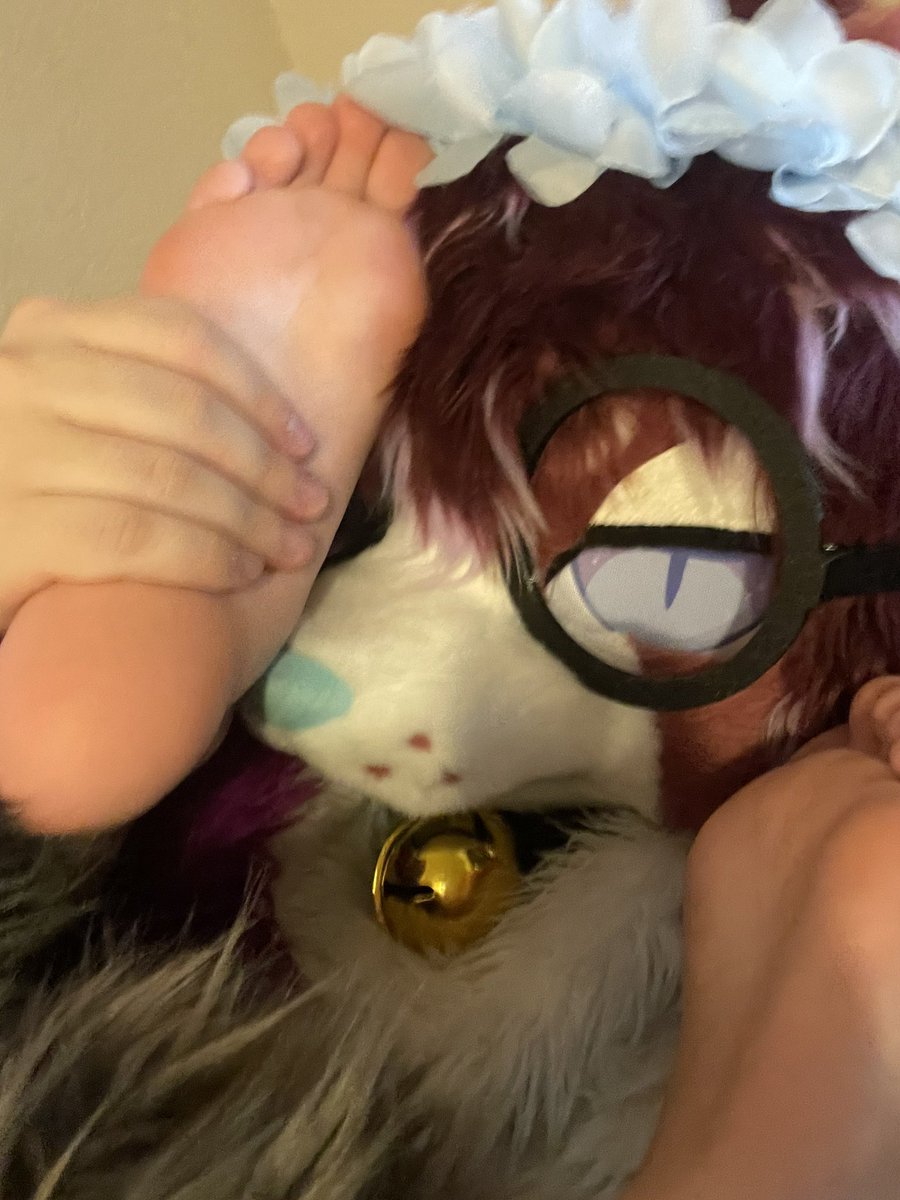 TammyBeagleAD's tweet photo. I think I’m addicted to feet.. https://t.co/p4q0Ry71BL
