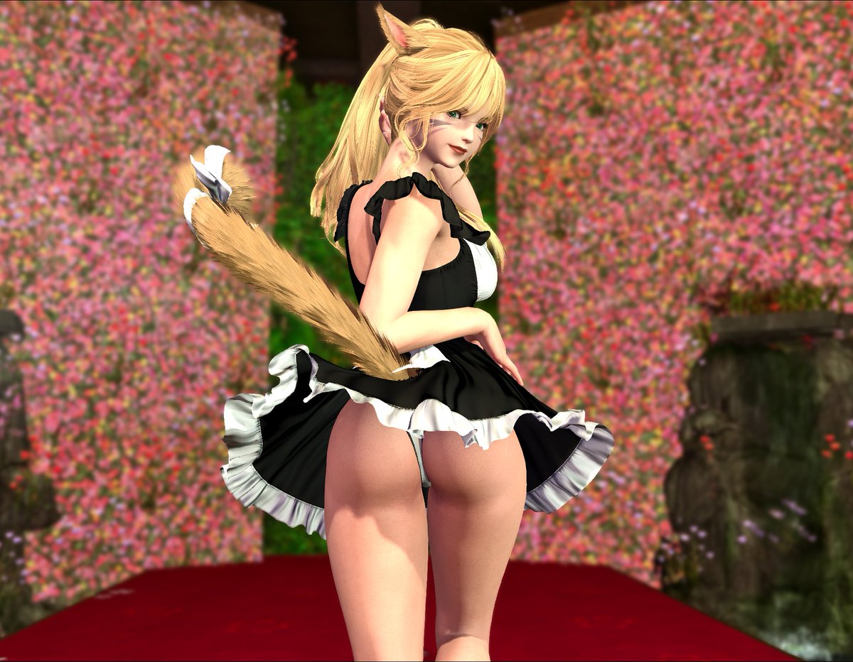 L_ena_XIV's tweet photo. How may i serve tonight?~ ♥️ 
#miqote  #GPOSERS https://t.co/R5B4UXx7zE