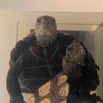 Photo by わだまう(黄緑亀)🐢秋例ち52a (@Greenturtle0523)