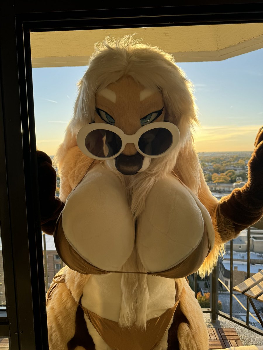 Lux_hound's tweet photo. All fun and games until she gives you that look 😏

Must be Boobtober day 22! https://t.co/y05U2ZjAUH