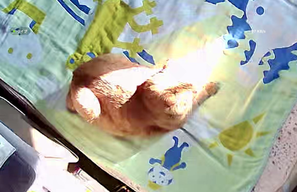 maxkitty1218 tweet picture