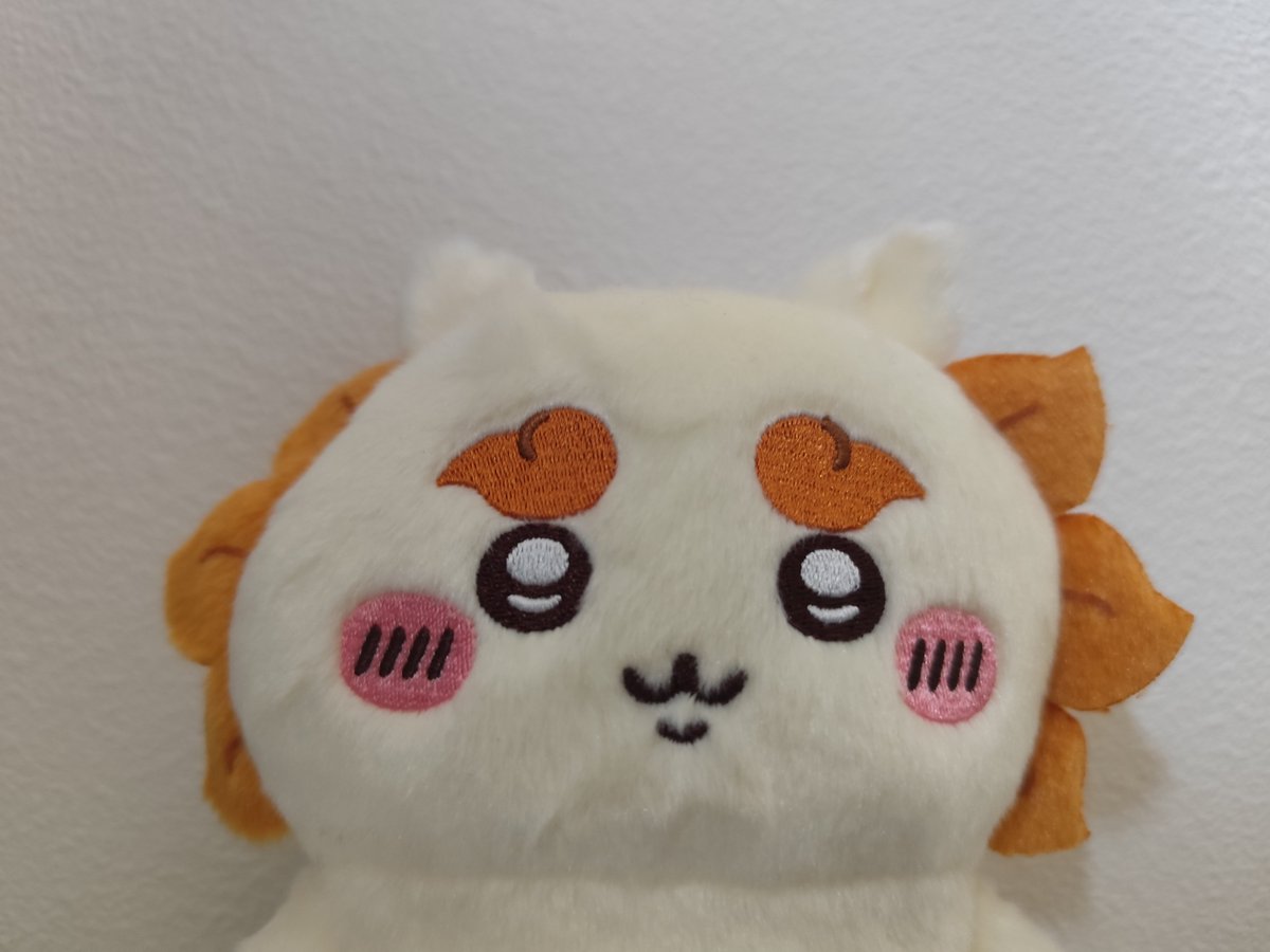tori_nanairo's tweet photo. おはようございます。
#シーサー
#ちいかわ
#ぬい撮り https://t.co/NSVkckVuBE