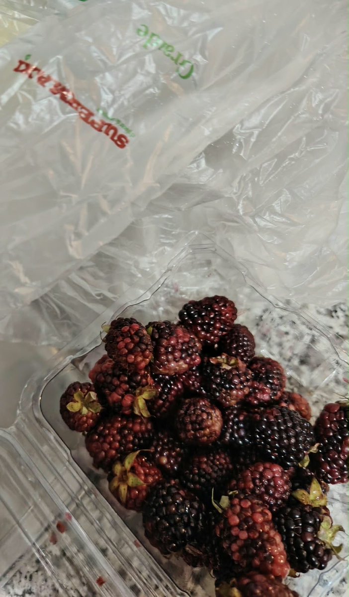 Alerta24Ec's tweet photo. #denunciaciudanada 
Un usuario denuncia haber comprado moras en Supermaxi y le ha venido con moho. https://t.co/zlNq1zLHif