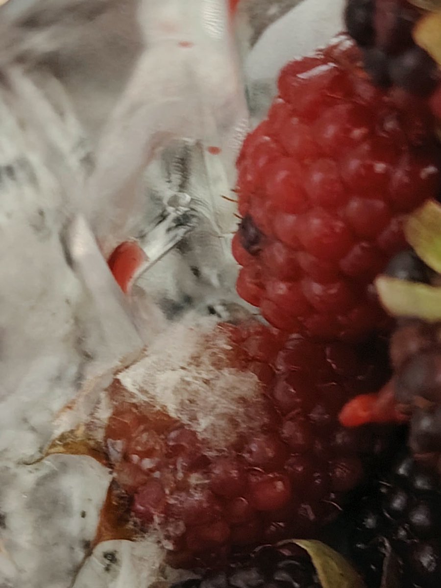 Alerta24Ec's tweet photo. #denunciaciudanada 
Un usuario denuncia haber comprado moras en Supermaxi y le ha venido con moho. https://t.co/zlNq1zLHif