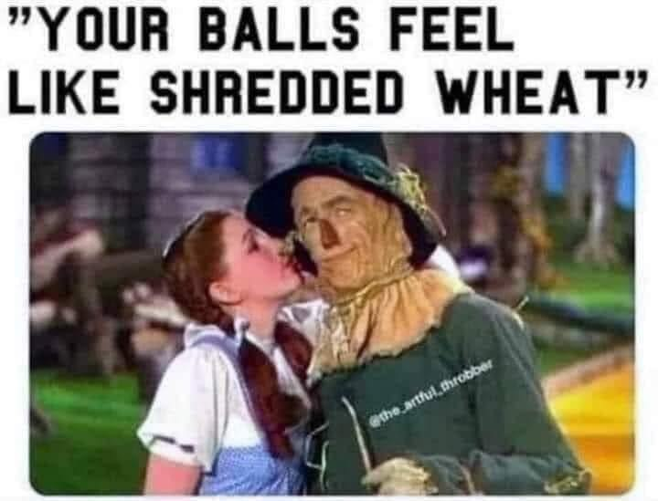 EllSimonds's tweet photo. Five minutes alone with Dorothy and the Scarecrow needs restuffing. https://t.co/WIZTDdvYiA